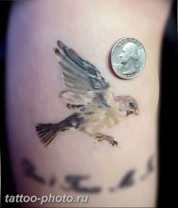 рисунка тату воробей 03.12.2018 №041 - photo tattoo sparrow - tattoo-photo.ru